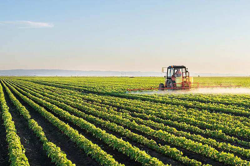 शेती शेती